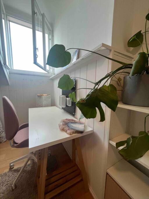 Big, Bright Apartment In The Center Of Zagreb Exterior foto